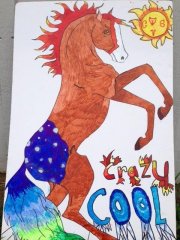 Crazy Cool.jpg